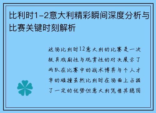比利时1-2意大利精彩瞬间深度分析与比赛关键时刻解析