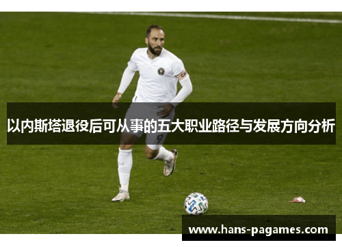 以内斯塔退役后可从事的五大职业路径与发展方向分析