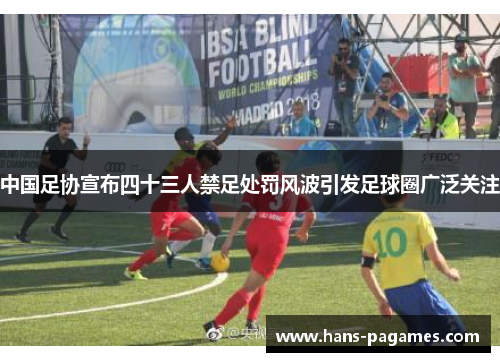 中国足协宣布四十三人禁足处罚风波引发足球圈广泛关注